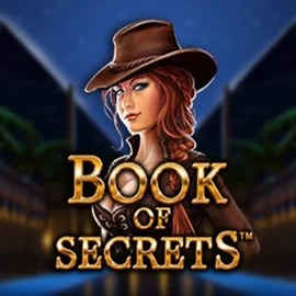 Play Book of Secrets slot by SYNOT Games on lizaroocasino.com